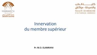 ANATOMIE FMPM INNERVATION DU MEMBRE SUPÉRIEUR [upl. by Yblocaj]