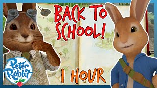 OfficialPeterRabbit  ✏️📚 Back to School Compilation 📚✏️  1 HOUR  Cartoons for Kids [upl. by Ahsiad]