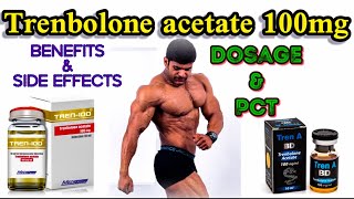 Trenbolone Acetate 100mg  Benefits Side Effects Dosage PCT  full explained in  Hindi amp Urdu [upl. by Aramoix]