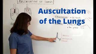 Auscultation of the Lungs [upl. by Jen]