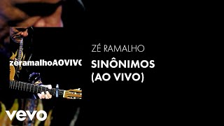 Zé Ramalho  Sinônimos Ao Vivo 2005 Áudio Oficial [upl. by Faunia]