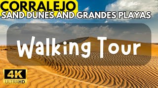 THE SAND DUNES OF CORRALEJO AND GRANDES PLAYAS  WALKING TOUR FUERTEVENTURA [upl. by Yralam]