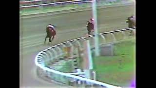 🔆 Clasico Hipodromo La Rinconada 1983 PARK AVENUE 🔆 [upl. by Klockau194]