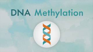 How DNA methylation works [upl. by Charla903]