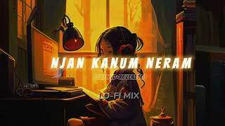 🦋 Njan Kanum Neram lofi mix  Lofi malayalam songs  Malayalam Lofi Mix 🦋 [upl. by Enirehs887]