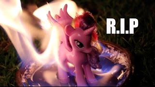 RIP Twilight Sparkle [upl. by Voltz931]