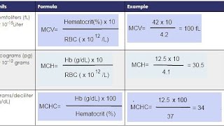 MCV MCH  MCHC RBCs indices [upl. by Massab410]