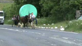 Appleby Horse Fair  Kirky Bank Part 2 [upl. by Novyad]