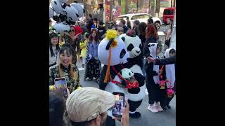 🍁 Autumn Moon Festival Parade 2024 Grant Avenue Chinatown San Francisco California 🌙 [upl. by Adelheid]