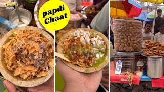 Hardworking Boy Selling Unique Street Food Papdi Chaat at Rs 30  Kanpur Street Food  Indian Food [upl. by Seale]