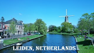 Leiden Revealed 10 Hidden Gems to Explore [upl. by Anitirhc]