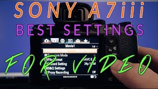 Sony a7iii Settings for Video Detailed Walkthrough [upl. by Anelam]