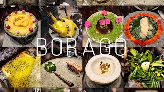 Boragó Santiagos Culinary Masterpiece  Best Restaurant in Chile 2023  29th best in the World [upl. by Miko]