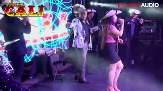 FLOR HERMOSA EL HUIZACHE TIERRA CALI FEAT VIRY SANDOVAL LA REYNA DE TIERRA CALIENTE EN VIVO [upl. by Ruhtra]