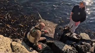 part 2 common Skate fishing in Lochaline [upl. by Elesig]