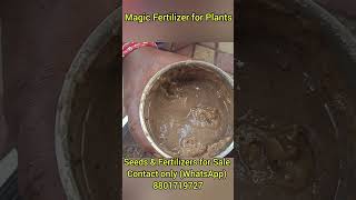 Magic Fertilizer for Plants Seeds and Fertilizers for Sale contact only WhatsApp 8801719727 [upl. by Sharla]