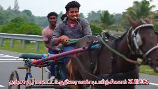 Salman Horse Race Tamil Nadu 🏆🐎 tamil horse [upl. by Vedette]