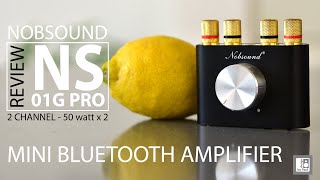 Nobsound NS01G Pro Mini Bluetooth 50 Amplifier review [upl. by Leahcym]