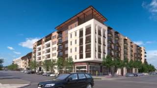 101 Center Video Tour  Brand New Apartments In Arlington TX [upl. by Notyalk129]