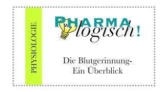 Die Blutgerinnung  ein Überblick [upl. by Yhtir502]