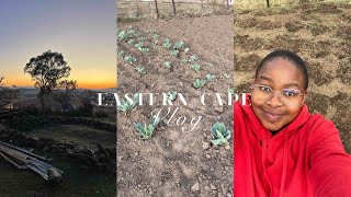 EASTERN CAPE VLOG  PART2  all saints gardening 👩🏽‍🌾 town tour going back to cape town 🚌  more [upl. by Tihom]