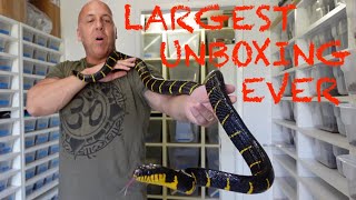 LARGEST MALAYSIA UNBOXING  WERE BACK [upl. by Anirahs]