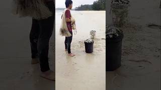 Menjala ikan bilis beach seafood shorts [upl. by Rask]