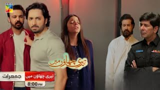 Teri Chhaon Mein Episode 18  HUM TV Dramas [upl. by Ayhtin]