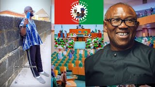 They used Peter Obi House of Representatives members used Peter Obi as ladder and then dump [upl. by Niven]