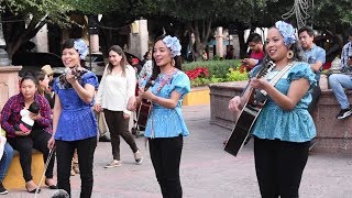 COMPARTAN Miren como tocan y bailan quotMaria Chuchenaquot Perlitas Queretanas [upl. by Setarcos272]