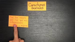 Caracteres sexuales Primarios y secundarios [upl. by Meyer]