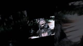 Kidnapped by Bigfoot The Albert Ostman Encounter  Bigfoot Stories [upl. by Enyale448]