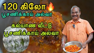 கல்யாண வீட்டு ஸ்பெஷல் பூசணிக்காய் அல்வா Making In Tamil 120kg Poosanikai Halwa In Tamil Full Video🔥 [upl. by Gail]