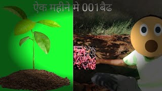 Vermicompost And Vermicompost ka banifit [upl. by Atinrahc66]