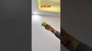 perfect Spin bowling tutorial ytshorts youtubeshorts tutorial spin [upl. by Ylirama]