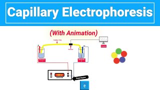 Capillary Electrophoresis with animation [upl. by Anilorac134]