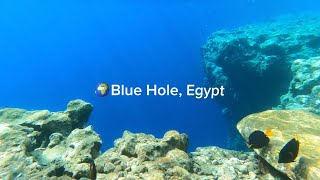 Dahab Blue Hole Red Sea 🌊 freediving with alfaksu [upl. by Sela]