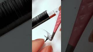 eyelash extensions fans tutorial lashtech lashtips lashinspo beginnerlashtech lashes eyelashes [upl. by Neenej]