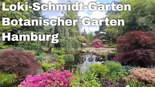 LokiSchmidtGarten  Botanischer Garten  Hamburg Germany [upl. by Loar]