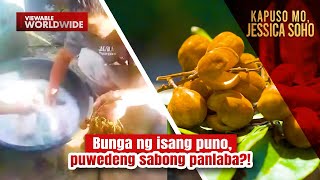 Bunga ng isang puno puwedeng sabong panlaba  Kapuso Mo Jessica Soho [upl. by Nnalatsyrc]