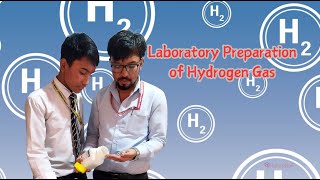 Laboratory Preparation of Hydrogen Gas [upl. by Oiralih]