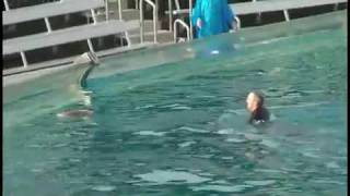 Killer whale drags trainer underwater at SeaWorld San Diego [upl. by Eddi]