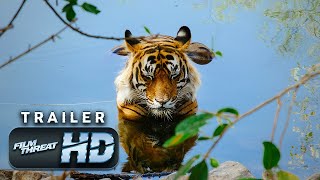 TIGER 24  Official HD Trailer 2022  DOCUMENTARY  Film Threat Trailers [upl. by Llednek]