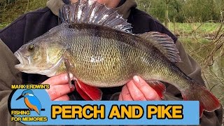 Perch and Chub fishing  Catching Pike amp Perch Video 71 [upl. by Celesta701]