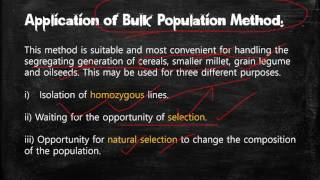 Bulk method of plant breeding [upl. by Asim775]