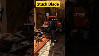 Blade stuck in hard maple [upl. by Occer112]