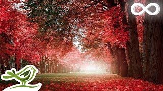 Beautiful Relaxing Music  Piano Cello amp Guitar Music by Soothing Relaxation [upl. by Moshell]