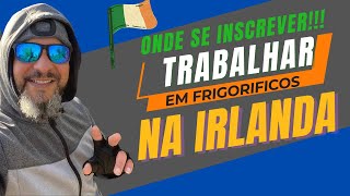 Vagas de emprego pra trabalhar em frigoríficos na IRLANDA 🇮🇪 irlanda imigrarparairlanda [upl. by Pattie272]