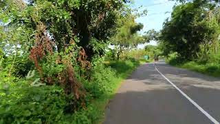 kerala Nature greenscreen nature naturelovers kerala [upl. by Maples]