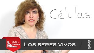 Características de los seres vivos │biología [upl. by Hackett]